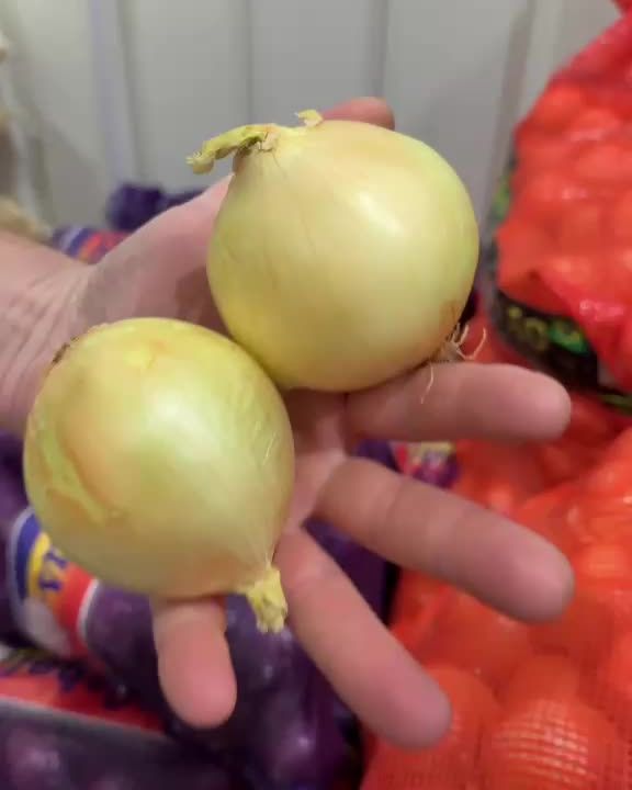 Cebolla