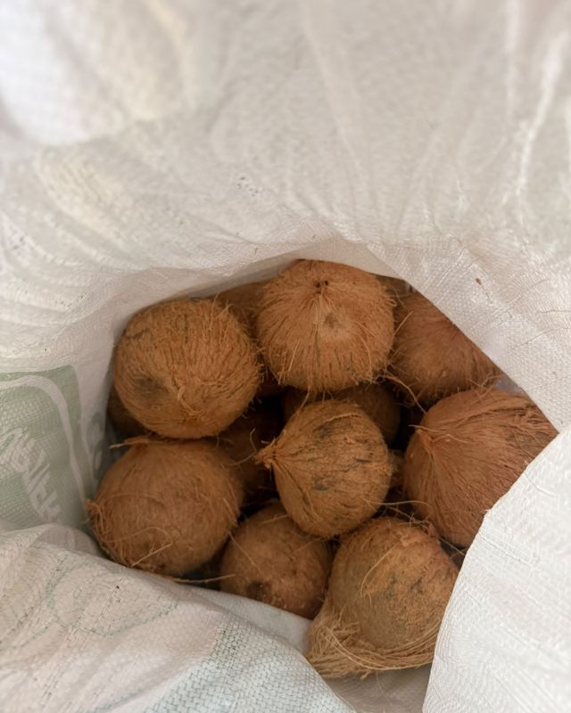 Coco