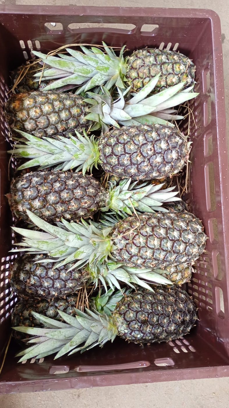 Piña