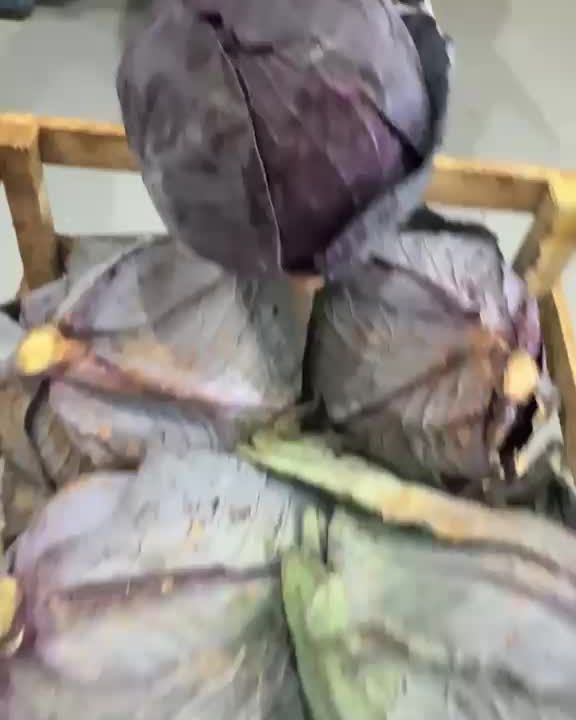 Repollo morado