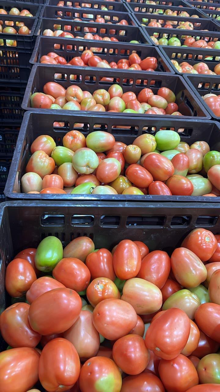 Tomate perita