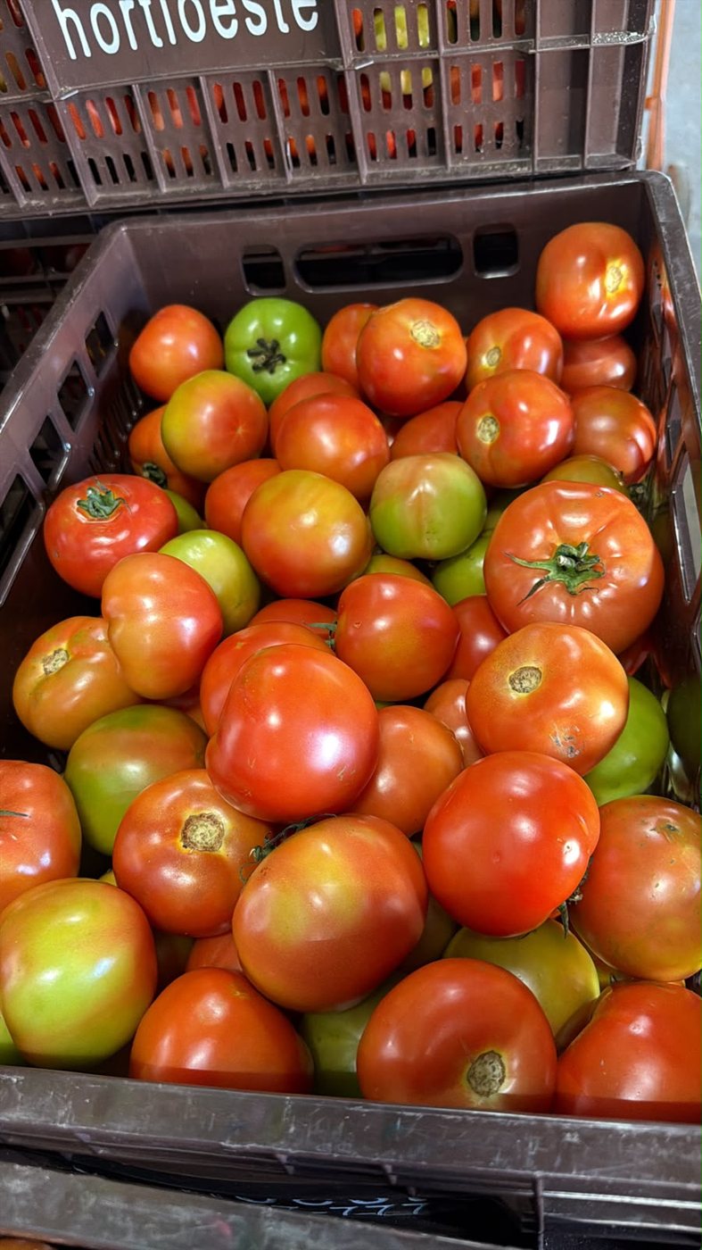 Tomate